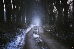 bad_pixels_IMG_4978